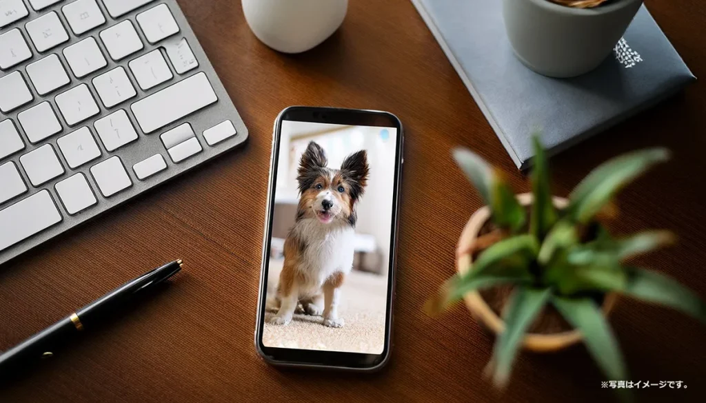 スマホで撮られた犬の写真