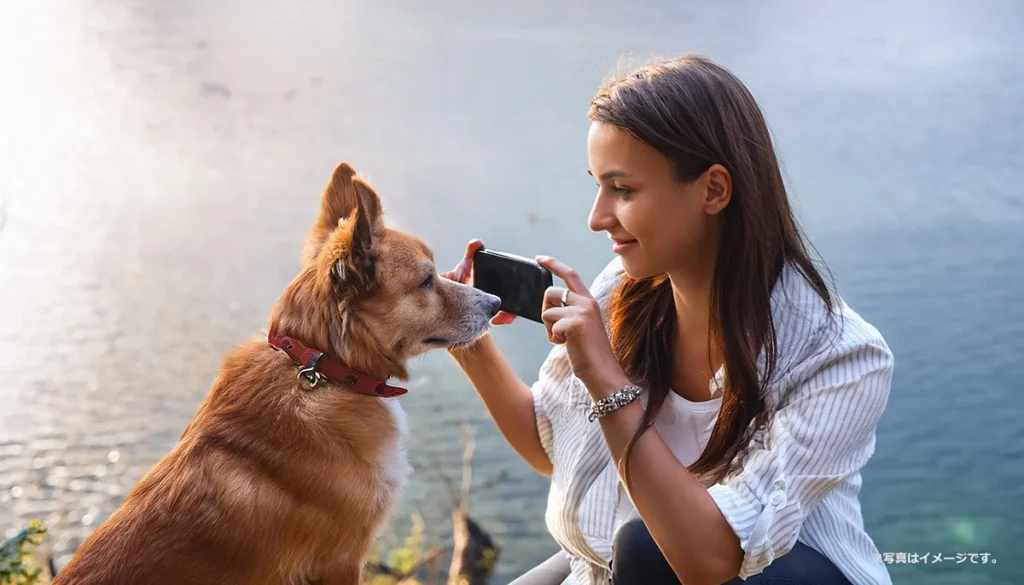 犬の写真を撮る女性