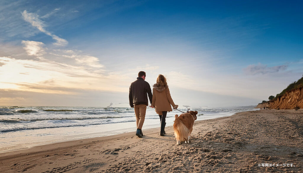 犬を連れて海辺を散歩する夫婦