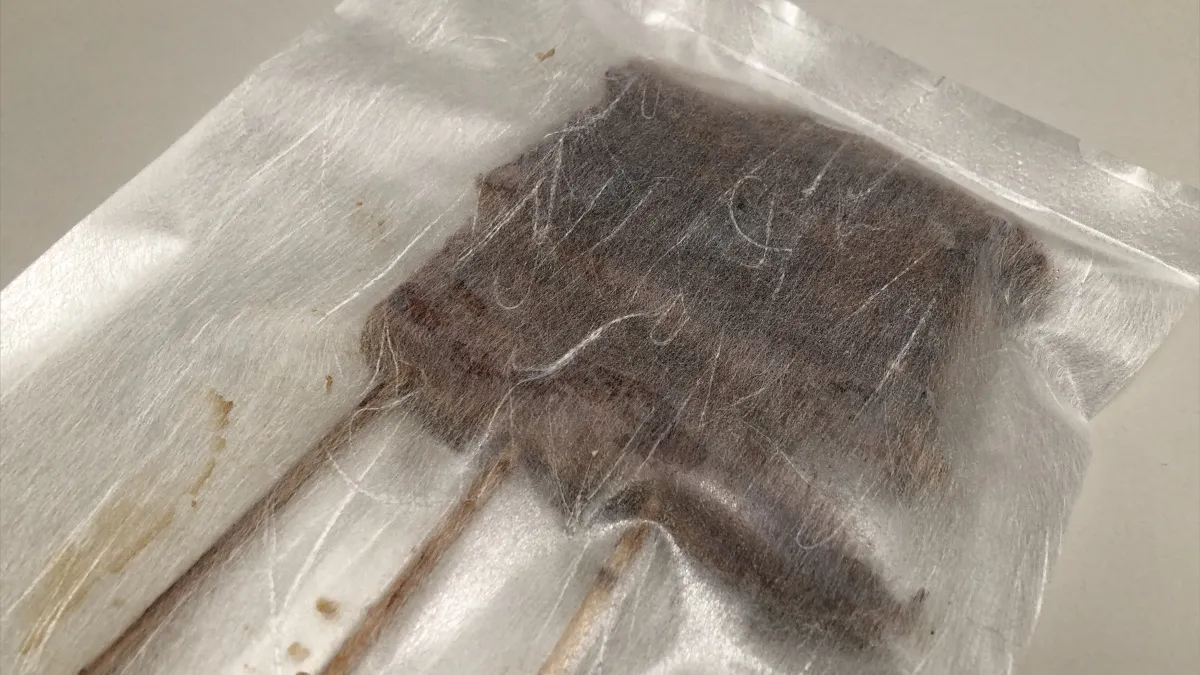 ごっつお便　うなぎかば焼き